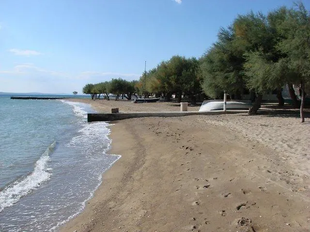 Ante Duće