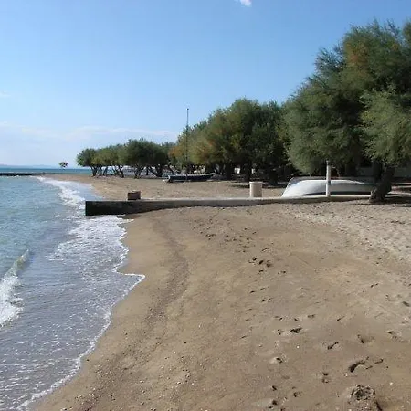 Ante Duće